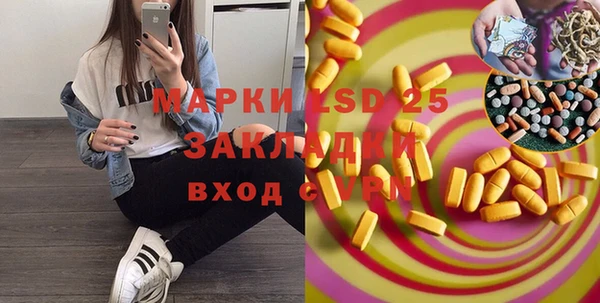стафф Алзамай