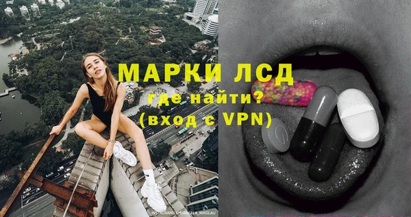 стафф Алзамай