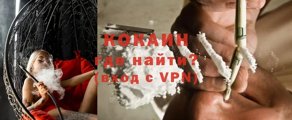 стафф Алзамай