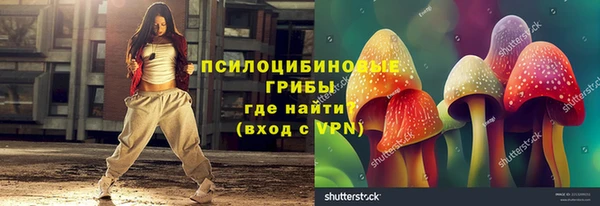 стафф Алзамай